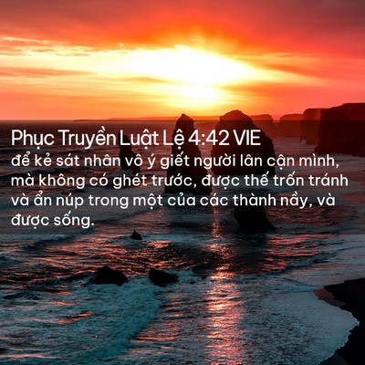 Picture 02 - Phục Truyền Luật Lệ 4:42 VIE - để kẻ sát nhân vô ý giết người lân - Bible Verse Picture