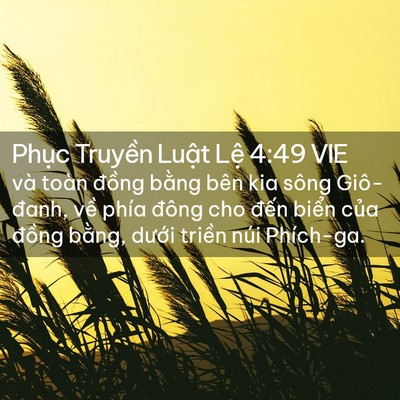 Picture 02 - Phục Truyền Luật Lệ 4:49 VIE - và toàn đồng bằng bên kia sông - Bible Verse Picture