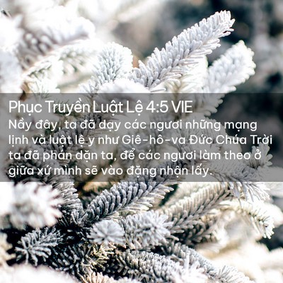Picture 02 - Phục Truyền Luật Lệ 4:5 VIE - Nầy đây, ta đã dạy các ngươi những - Bible Verse Picture