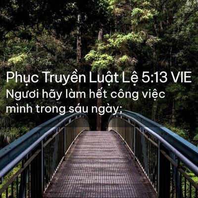Picture 02 - Phục Truyền Luật Lệ 5:13 VIE - Ngươi hãy làm hết công việc mình trong - Bible Verse Picture