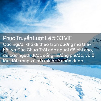 Picture 02 - Phục Truyền Luật Lệ 5:33 VIE - Các ngươi khá đi theo trọn đường mà - Bible Verse Picture