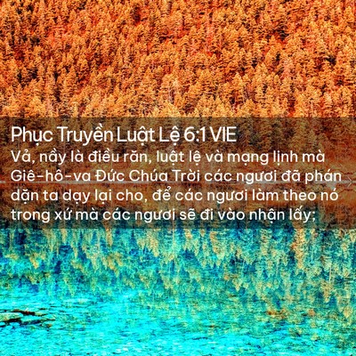 Picture 02 - Phục Truyền Luật Lệ 6:1 VIE - Vả, nầy là điều răn, luật lệ và - Bible Verse Picture