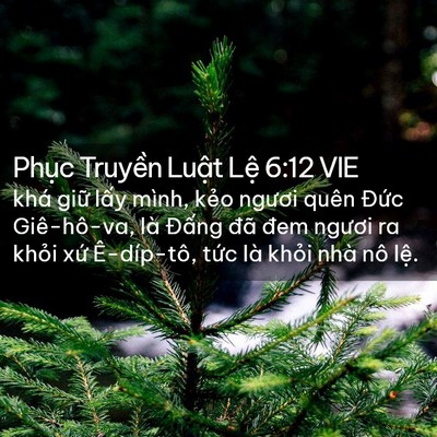 Picture 02 - Phục Truyền Luật Lệ 6:12 VIE - khá giữ lấy mình, kẻo ngươi quên - Bible Verse Picture