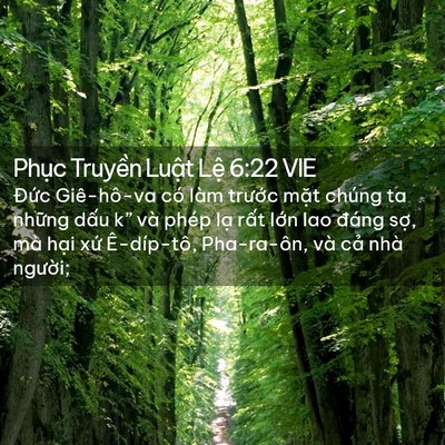 Picture 02 - Phục Truyền Luật Lệ 6:22 VIE - Đức Giê-hô-va có làm trước mặt chúng - Bible Verse Picture