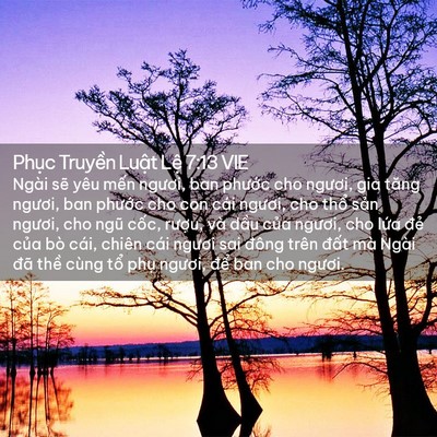 Picture 02 - Phục Truyền Luật Lệ 7:13 VIE - Ngài sẽ yêu mến ngươi, ban phước cho - Bible Verse Picture