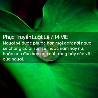 Picture 02 - Phục Truyền Luật Lệ 7:14 VIE - Ngươi sẽ được phước hơn mọi dân: - Bible Verse Picture