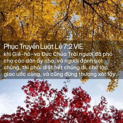 Picture 02 - Phục Truyền Luật Lệ 7:2 VIE - khi Giê-hô-va Đức Chúa Trời ngươi đã - Bible Verse Picture