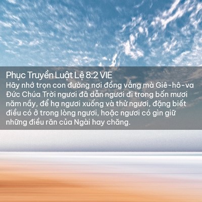 Picture 02 - Phục Truyền Luật Lệ 8:2 VIE - Hãy nhớ trọn con đường nơi đồng - Bible Verse Picture