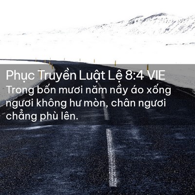 Picture 02 - Phục Truyền Luật Lệ 8:4 VIE - Trong bốn mươi năm nầy áo xống ngươi - Bible Verse Picture