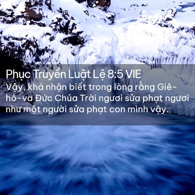 Picture 02 - Phục Truyền Luật Lệ 8:5 VIE - Vậy, khá nhận biết trong lòng rằng - Bible Verse Picture