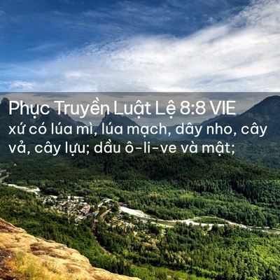 Picture 02 - Phục Truyền Luật Lệ 8:8 VIE - xứ có lúa mì, lúa mạch, dây nho, cây - Bible Verse Picture