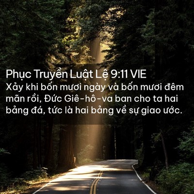 Picture 02 - Phục Truyền Luật Lệ 9:11 VIE - Xảy khi bốn mươi ngày và bốn mươi - Bible Verse Picture