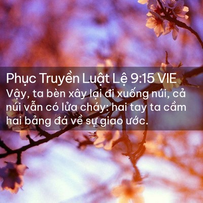 Picture 02 - Phục Truyền Luật Lệ 9:15 VIE - Vậy, ta bèn xây lại đi xuống núi, cả - Bible Verse Picture