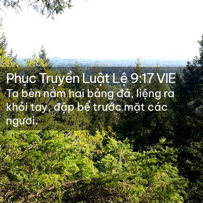 Picture 02 - Phục Truyền Luật Lệ 9:17 VIE - Ta bèn nắm hai bảng đá, liệng ra khỏi - Bible Verse Picture
