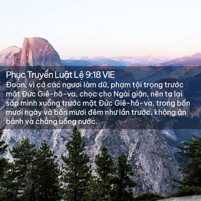 Picture 02 - Phục Truyền Luật Lệ 9:18 VIE - Đoạn, vì cớ các ngươi làm dữ, phạm - Bible Verse Picture