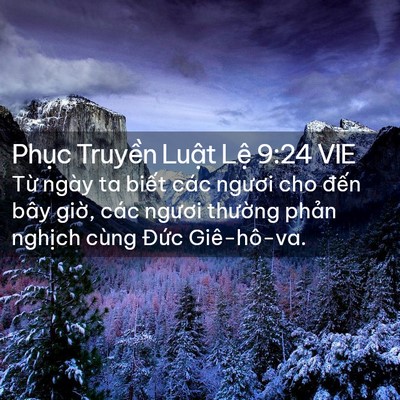 Picture 02 - Phục Truyền Luật Lệ 9:24 VIE - Từ ngày ta biết các ngươi cho đến bây - Bible Verse Picture