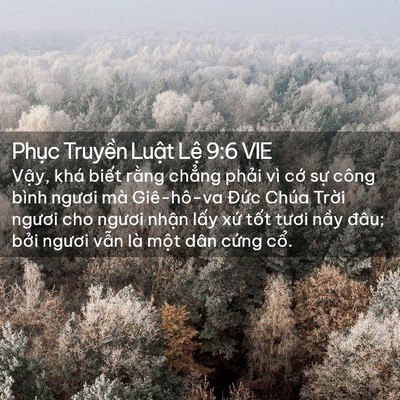 Picture 02 - Phục Truyền Luật Lệ 9:6 VIE - Vậy, khá biết rằng chẳng phải vì cớ - Bible Verse Picture