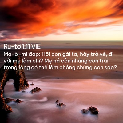 Picture 02 - Ru-tơ 1:11 VIE - Ma-ô-mi đáp: Hỡi con gái ta, hãy trở - Bible Verse Picture