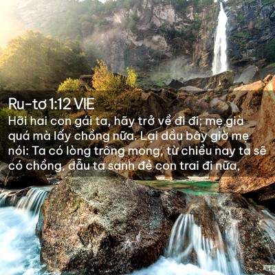 Picture 02 - Ru-tơ 1:12 VIE - Hỡi hai con gái ta, hãy trở về đi đi; - Bible Verse Picture