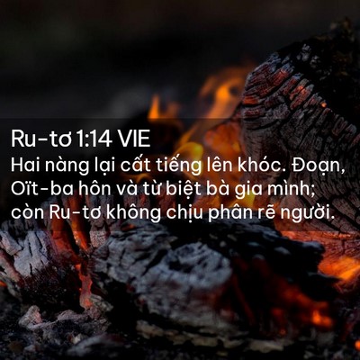 Picture 02 - Ru-tơ 1:14 VIE - Hai nàng lại cất tiếng lên khóc. - Bible Verse Picture