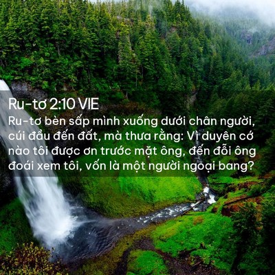 Picture 02 - Ru-tơ 2:10 VIE - Ru-tơ bèn sấp mình xuống dưới chân - Bible Verse Picture