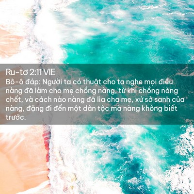 Picture 02 - Ru-tơ 2:11 VIE - Bô-ô đáp: Người ta có thuật cho ta nghe - Bible Verse Picture