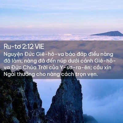Picture 02 - Ru-tơ 2:12 VIE - Nguyện Đức Giê-hô-va báo đáp điều - Bible Verse Picture