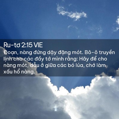 Picture 02 - Ru-tơ 2:15 VIE - Đoạn, nàng đứng dậy đặng mót. Bô-ô - Bible Verse Picture