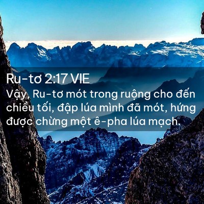 Picture 02 - Ru-tơ 2:17 VIE - Vậy, Ru-tơ mót trong ruộng cho đến - Bible Verse Picture
