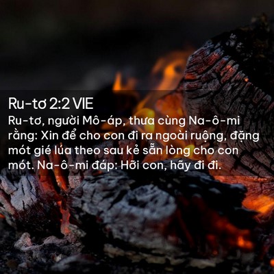 Picture 02 - Ru-tơ 2:2 VIE - Ru-tơ, người Mô-áp, thưa cùng Na-ô-mi - Bible Verse Picture