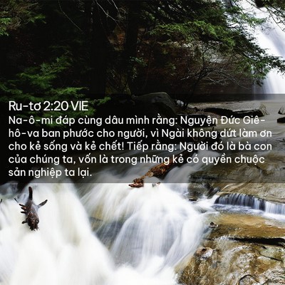 Picture 02 - Ru-tơ 2:20 VIE - Na-ô-mi đáp cùng dâu mình rằng: Nguyện - Bible Verse Picture