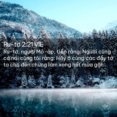 Picture 02 - Ru-tơ 2:21 VIE - Ru-tơ, người Mô-áp, tiếp rằng: Người - Bible Verse Picture