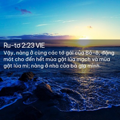 Picture 02 - Ru-tơ 2:23 VIE - Vậy, nàng ở cùng các tớ gái của - Bible Verse Picture