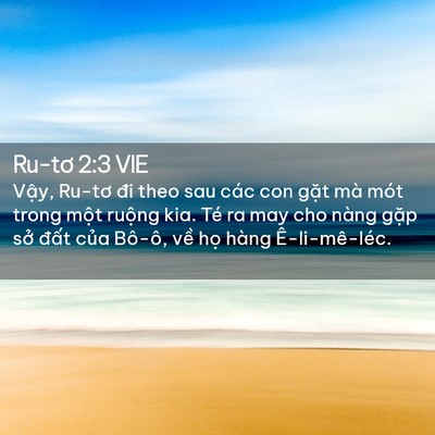 Picture 02 - Ru-tơ 2:3 VIE - Vậy, Ru-tơ đi theo sau các con gặt mà - Bible Verse Picture