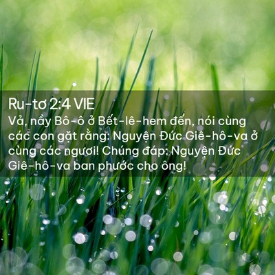 Picture 02 - Ru-tơ 2:4 VIE - Vả, nầy Bô-ô ở Bết-lê-hem đến, nói - Bible Verse Picture