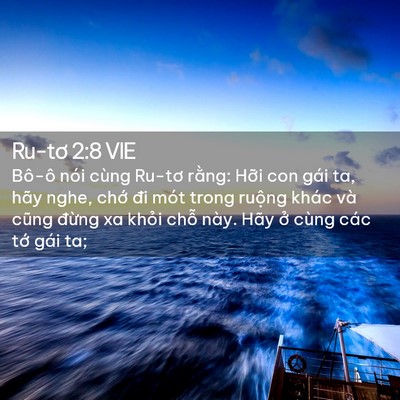 Picture 02 - Ru-tơ 2:8 VIE - Bô-ô nói cùng Ru-tơ rằng: Hỡi con gái - Bible Verse Picture