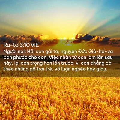 Picture 02 - Ru-tơ 3:10 VIE - Người nói: Hỡi con gái ta, nguyện Đức - Bible Verse Picture