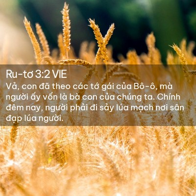 Picture 02 - Ru-tơ 3:2 VIE - Vả, con đã theo các tớ gái của Bô-ô, - Bible Verse Picture