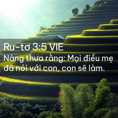 Picture 02 - Ru-tơ 3:5 VIE - Nàng thưa rằng: Mọi điều mẹ đã nói - Bible Verse Picture