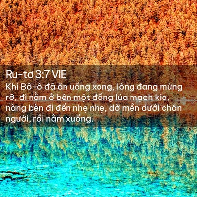 Picture 02 - Ru-tơ 3:7 VIE - Khi Bô-ô đã ăn uống xong, lòng đang - Bible Verse Picture