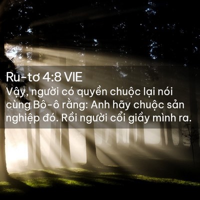 Picture 02 - Ru-tơ 4:8 VIE - Vậy, người có quyền chuộc lại nói - Bible Verse Picture