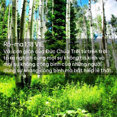 Picture 02 - Rô-ma 1:18 VIE - Vả, cơn giận của Đức Chúa Trời từ - Bible Verse Picture