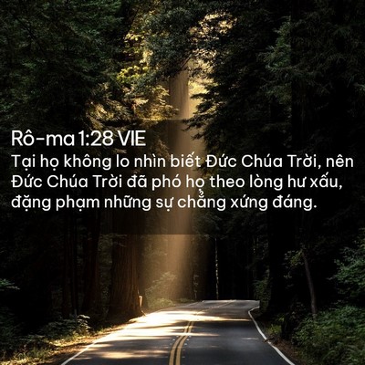 Picture 02 - Rô-ma 1:28 VIE - Tại họ không lo nhìn biết Đức Chúa - Bible Verse Picture