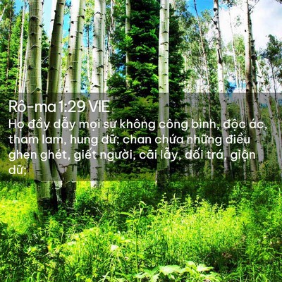 Picture 02 - Rô-ma 1:29 VIE - Họ đầy dẫy mọi sự không công bình, - Bible Verse Picture