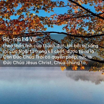 Picture 02 - Rô-ma 1:4 VIE - theo thần linh của thánh đức, thì bởi - Bible Verse Picture