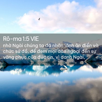 Picture 02 - Rô-ma 1:5 VIE - nhờ Ngài chúng ta đã nhận lãnh ân - Bible Verse Picture