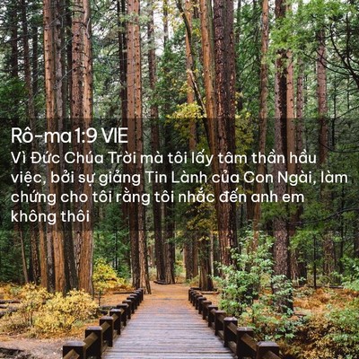Picture 02 - Rô-ma 1:9 VIE - Vì Đức Chúa Trời mà tôi lấy tâm - Bible Verse Picture