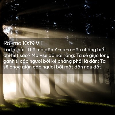Picture 02 - Rô-ma 10:19 VIE - Tôi lại hỏi: Thế mà dân Y-sơ-ra-ên - Bible Verse Picture