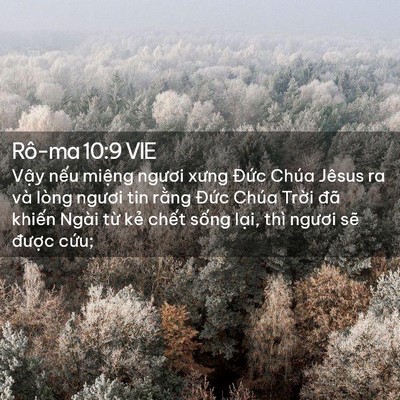 Picture 02 - Rô-ma 10:9 VIE - Vậy nếu miệng ngươi xưng Đức Chúa - Bible Verse Picture