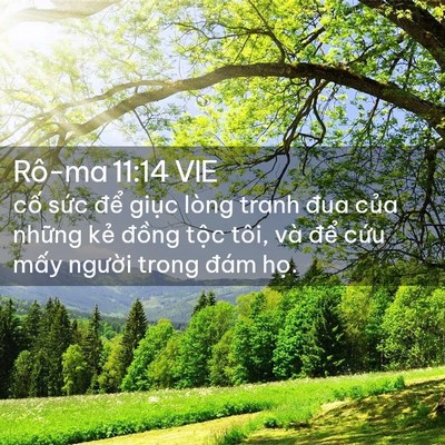 Picture 02 - Rô-ma 11:14 VIE - cố sức để giục lòng tranh đua của - Bible Verse Picture